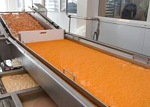 Shrimp processing line inspectionchillingweighing