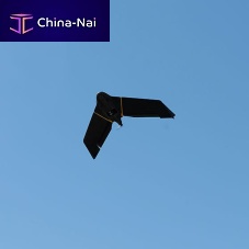 Professional drone eBee Xsurveillancemappingfixed-wing