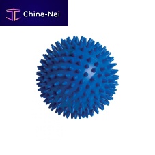Small size Pilates ball PBD. serieswith pinsadult