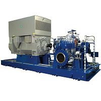 Centrifugal pump ZM serieswaterfor lubricantselectric