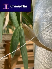 Fishing net cordage double-braidsingle braidtwisted