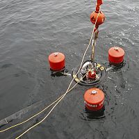 Oil skimmer Termite stainless steel