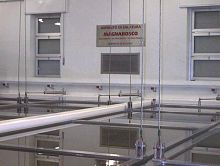 Cheese brining system