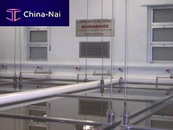 Cheese brining system