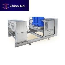Automatic pasta extruders