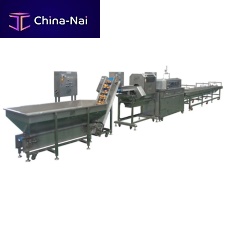 Onion peeling machine P-O800