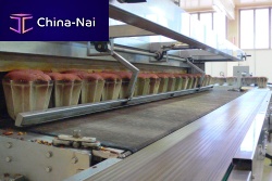 Fully-automatic cake production line with filling unitin-linefor the food industry