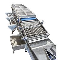 Fruit grading machine sorting