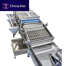 Fruit grading machine sorting