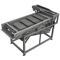 Green beans grader BC-25 LengthCaliber