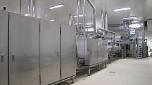 Stuffed pasta production line freshshort-cutpasteurization