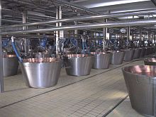 Cheese vat