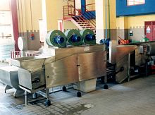 Citrus washing machine