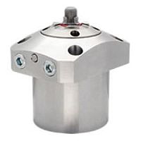 Pneumatic clamp SWE