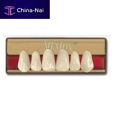 Acrylic dental prosthesis Alfaluxanterior teethposterior teeth