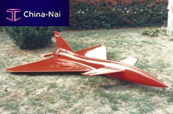 Industrial drone Chacal 2surveillancereconnaissancefixed-wing