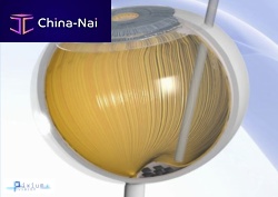 Subretinal implant PRIMA