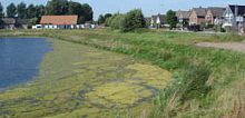 Erosion control blanket STANDARD