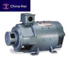 DC motor induction240 VTENV