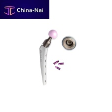Cementless veterinary hip prosthesis Zurich THRfor total hip arthroplastyfor dogs