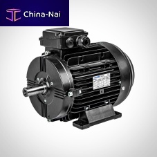3-phase motor SSWEA seriesasynchronous400 VIP55