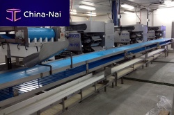 Hake heading gutting machines PN-700