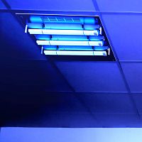 Disinfection lamp Ladybug ® 60UVCceiling-mounted
