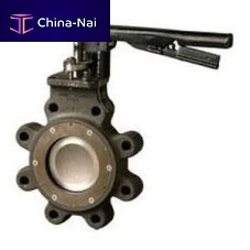 Butterfly valve leverfor wastewater