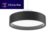 Hanging light fixture LP CIRCLELEDroundIP20