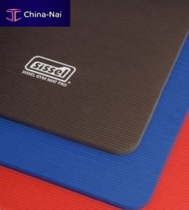 											Exercise mat Gym