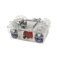 Mice animal research cage IntelliCagemodular