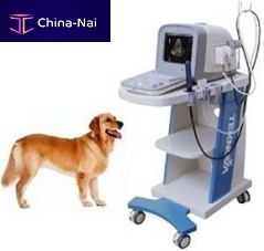 On-platform veterinary ultrasound system TH-100Vetmultipurpose
