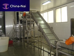IQF freezer SLDprocessfor fruitvegetable