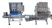 Kiwi peeling machine PL2AV - PL4AV