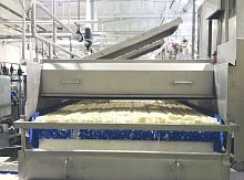 Industrial cooker with cooler continuousbatchrice