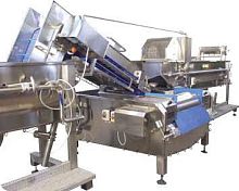 Fruit washing machine CAPRI