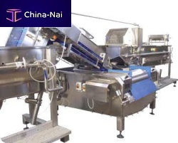 Fruit washing machine CAPRI