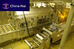 Automatic sandwich production line RCS