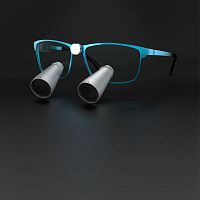 Glasses-type binocular loupe VISIONX 3.8