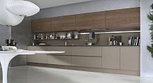 Contemporary kitchen SYSTEM COLLECTIONglasswood veneerhandleless